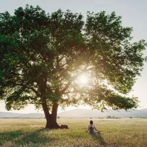 Transformer les liens sur les plans visibles et invisibles de la grande toile du vivant pour transmuter les anciennes croyances, contrats inconscients, loyautés familiales, et remettre un nouveau souffle de vie là où parfois le déni, le secret, le silence, les traumas, les pertes, les évènements trop douloureux se sont figés dans l’écorce de nos vies.